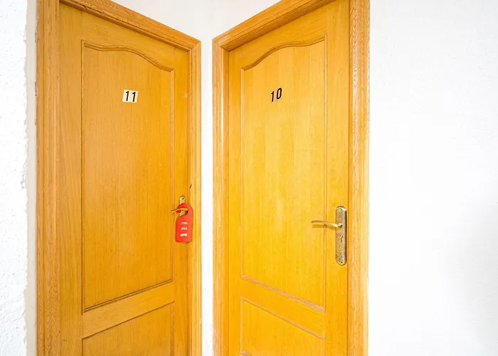 بيت شباب Ayuntamiento لقنت