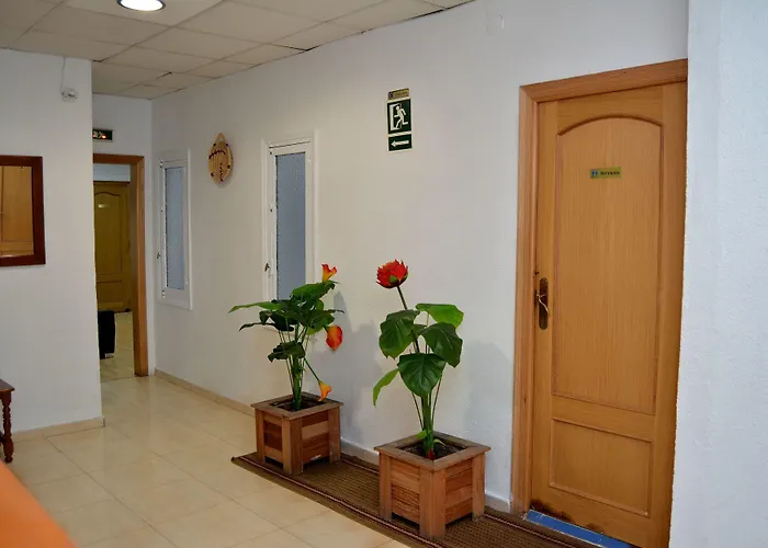 بيت شباب Ayuntamiento