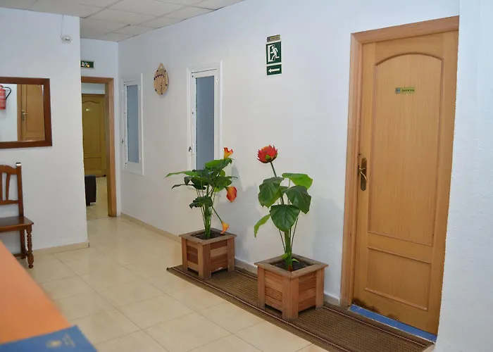 Ayuntamiento بيت شباب لقنت